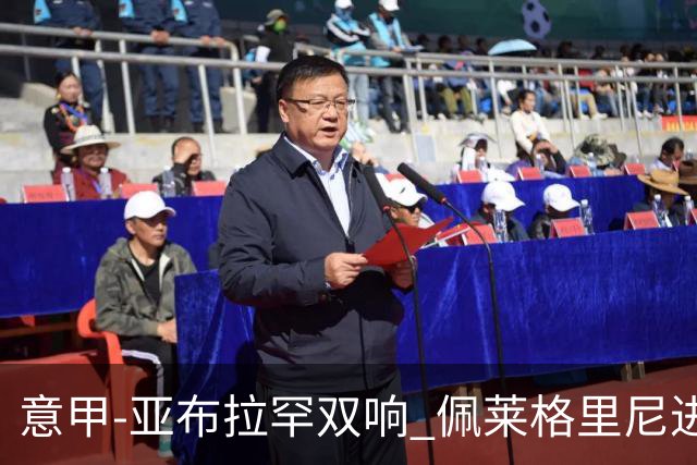 意甲-亚布拉罕双响 佩莱格里尼进球 罗马3-0收官